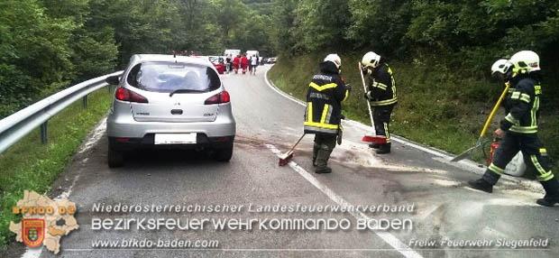 20170726 Verkehrsunfall LB210 Baden-Sattelbach  Foto:  Freiwillige Feuerwehr Siegenfeld