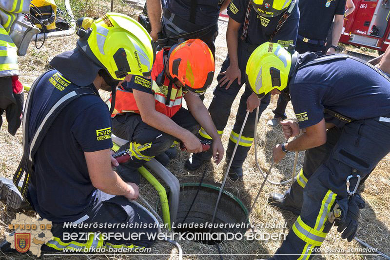 20240710_Aufwendige Menschenrettung aus Kanalsystem in Oberwaltersdorf  Foto: Stefan Schneider BFKDO BADEN