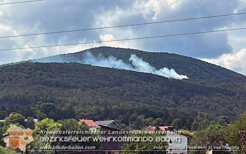 20240723_Waldbrand in Grillenberg noch rechtzeitig entdeckt  Foto: Freiwillige Feuerwehr St.Veit/Triesting