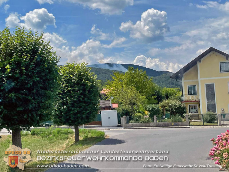 20240723_Waldbrand in Grillenberg noch rechtzeitig entdeckt  Foto: Freiwillige Feuerwehr St.Veit/Triesting