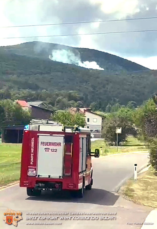 20240723_Waldbrand in Grillenberg noch rechtzeitig entdeckt  Foto: Patrick Stettner