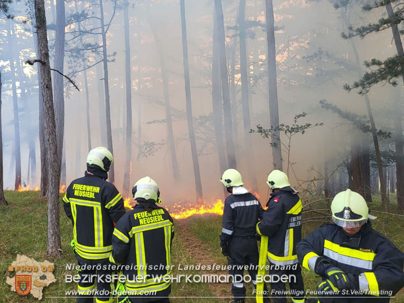 20240723_Waldbrand in Grillenberg noch rechtzeitig entdeckt  Foto: Freiwillige Feuerwehr St.Veit/Triesting