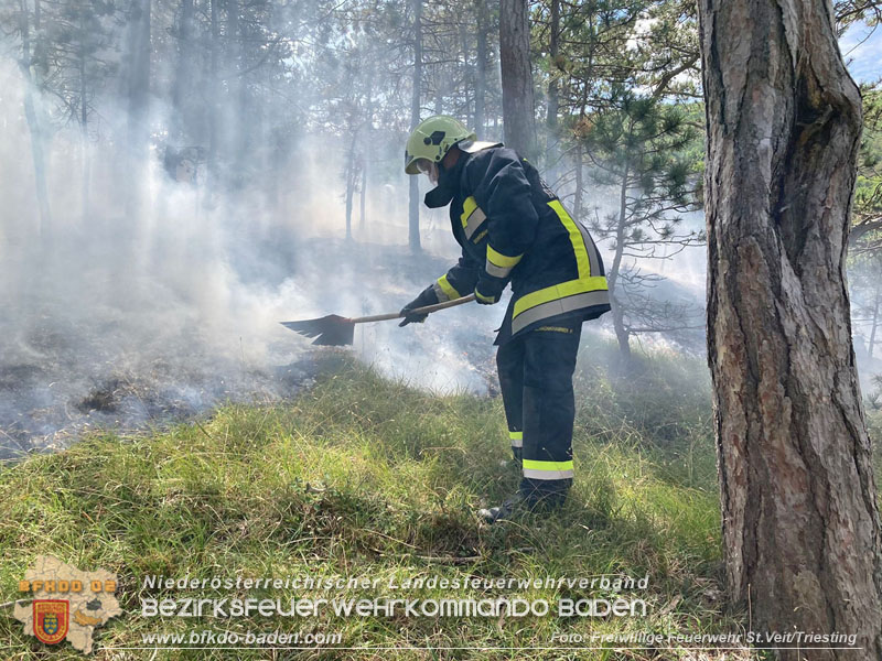 20240723_Waldbrand in Grillenberg noch rechtzeitig entdeckt  Foto: Freiwillige Feuerwehr St.Veit/Triesting