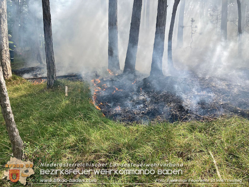 20240723_Waldbrand in Grillenberg noch rechtzeitig entdeckt  Foto: Freiwillige Feuerwehr St.Veit/Triesting