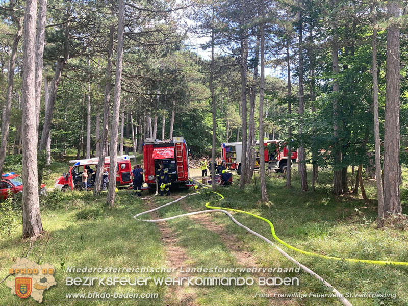 20240723_Waldbrand in Grillenberg noch rechtzeitig entdeckt  Foto: Freiwillige Feuerwehr St.Veit/Triesting