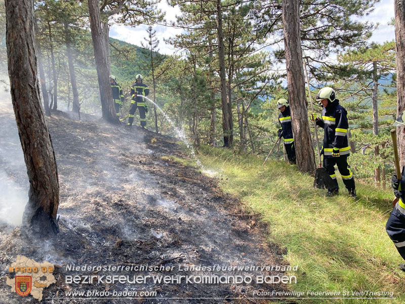 20240723_Waldbrand in Grillenberg noch rechtzeitig entdeckt  Foto: Freiwillige Feuerwehr St.Veit/Triesting