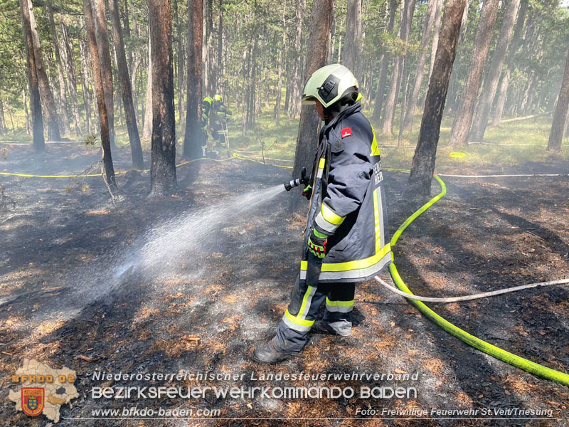 20240723_Waldbrand in Grillenberg noch rechtzeitig entdeckt  Foto: Freiwillige Feuerwehr St.Veit/Triesting