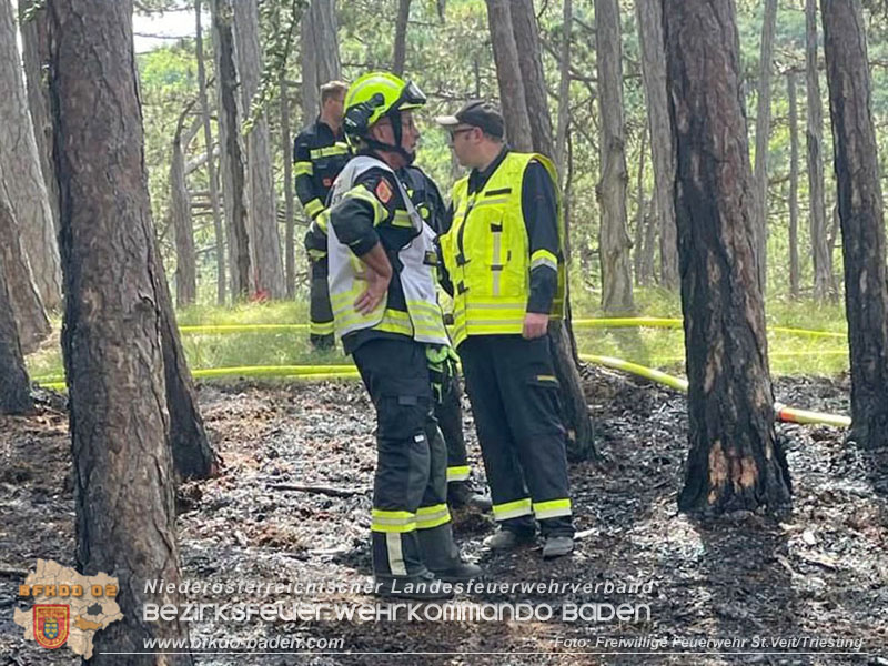 20240723_Waldbrand in Grillenberg noch rechtzeitig entdeckt  Foto: Freiwillige Feuerwehr St.Veit/Triesting