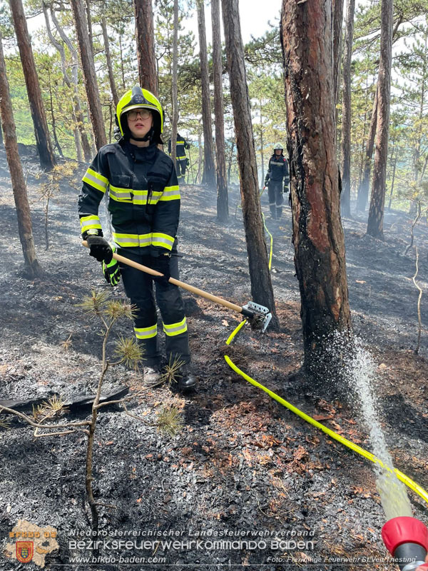 20240723_Waldbrand in Grillenberg noch rechtzeitig entdeckt  Foto: Freiwillige Feuerwehr St.Veit/Triesting