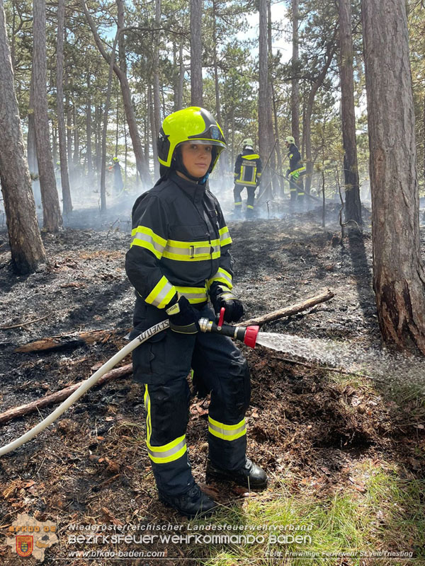 20240723_Waldbrand in Grillenberg noch rechtzeitig entdeckt  Foto: Freiwillige Feuerwehr St.Veit/Triesting