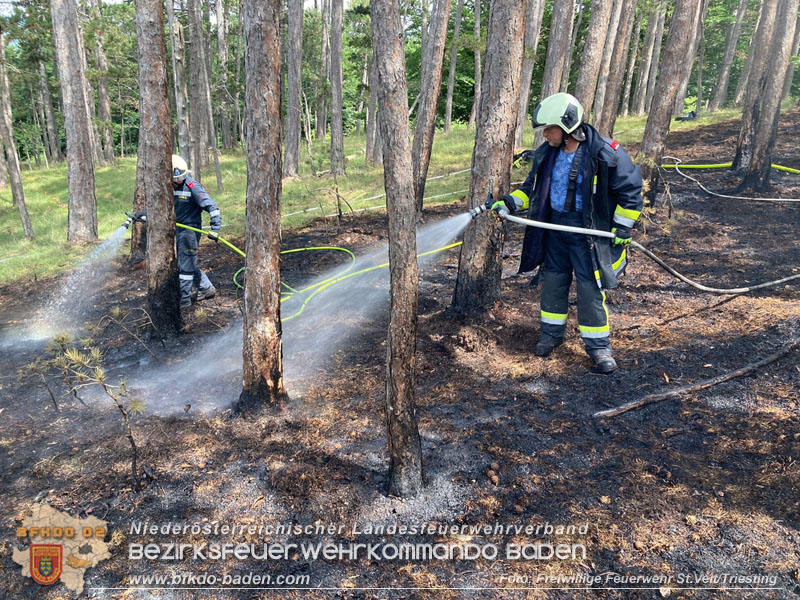 20240723_Waldbrand in Grillenberg noch rechtzeitig entdeckt  Foto: Freiwillige Feuerwehr St.Veit/Triesting