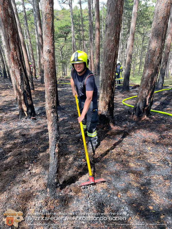 20240723_Waldbrand in Grillenberg noch rechtzeitig entdeckt  Foto: Freiwillige Feuerwehr St.Veit/Triesting