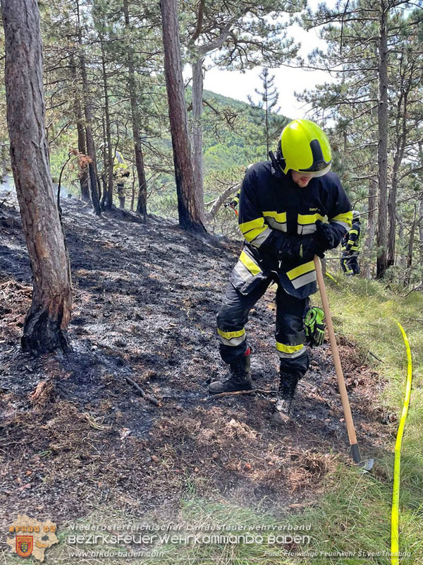 20240723_Waldbrand in Grillenberg noch rechtzeitig entdeckt Foto: Freiwillige Feuerwehr St.Veit/Triesting