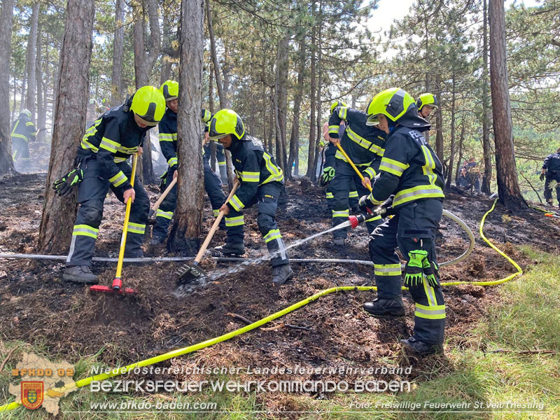 20240723_Waldbrand in Grillenberg noch rechtzeitig entdeckt Foto: Freiwillige Feuerwehr St.Veit/Triesting