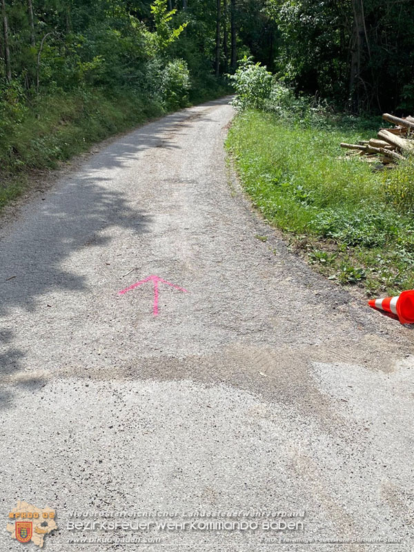 20240723_Waldbrand in Grillenberg noch rechtzeitig entdeckt Foto: Freiwillige Feuerwehr Berndorf-Stadt