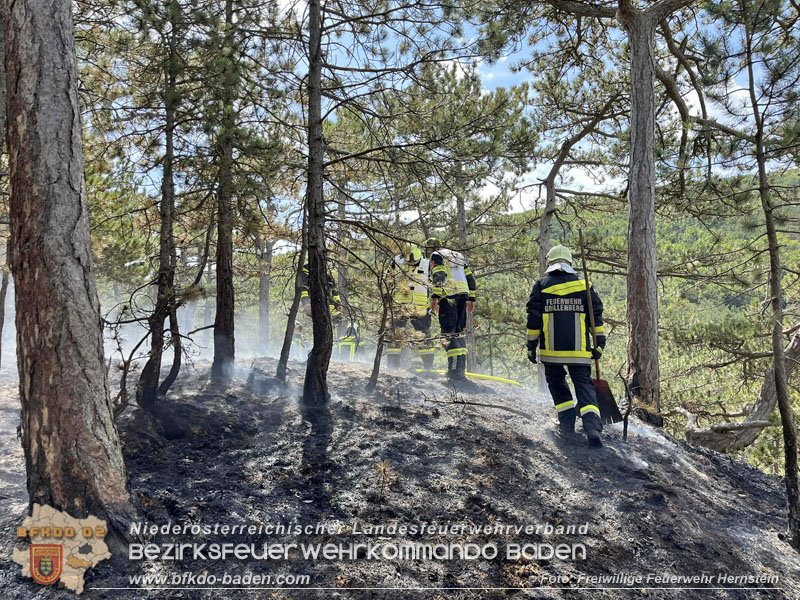 20240723_Waldbrand in Grillenberg noch rechtzeitig entdeckt  Foto: Freiwillige Feuerwehr St.Veit/Triesting