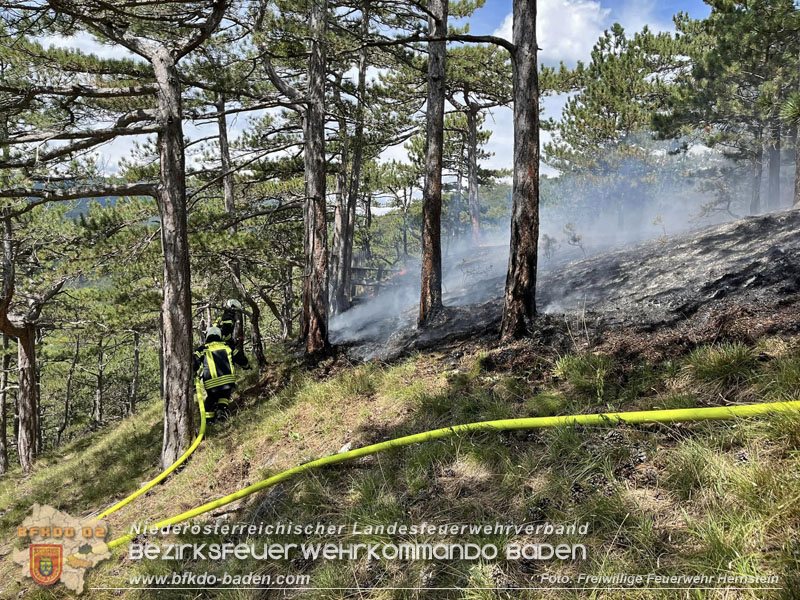 20240723_Waldbrand in Grillenberg noch rechtzeitig entdeckt Foto: Hernstein