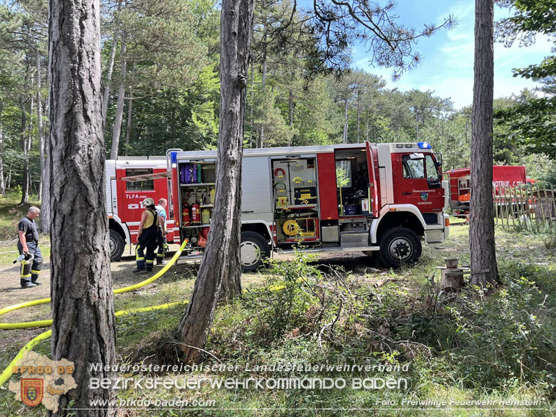 20240723_Waldbrand in Grillenberg noch rechtzeitig entdeckt Foto: FF Hernstein