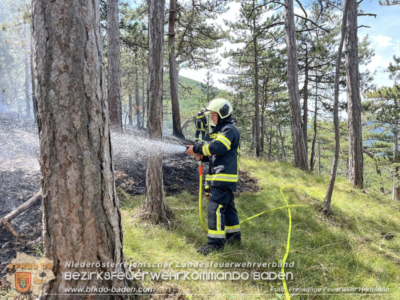 20240723_Waldbrand in Grillenberg noch rechtzeitig entdeckt Foto: FF Hernstein