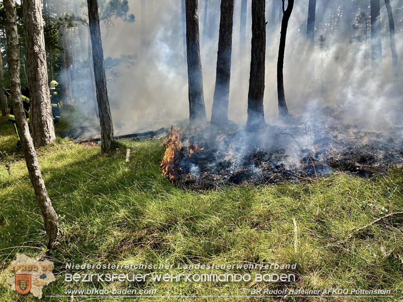 20240723_Waldbrand in Grillenberg noch rechtzeitig entdeckt Foto: Freiwillige Feuerwehr Neusiedl