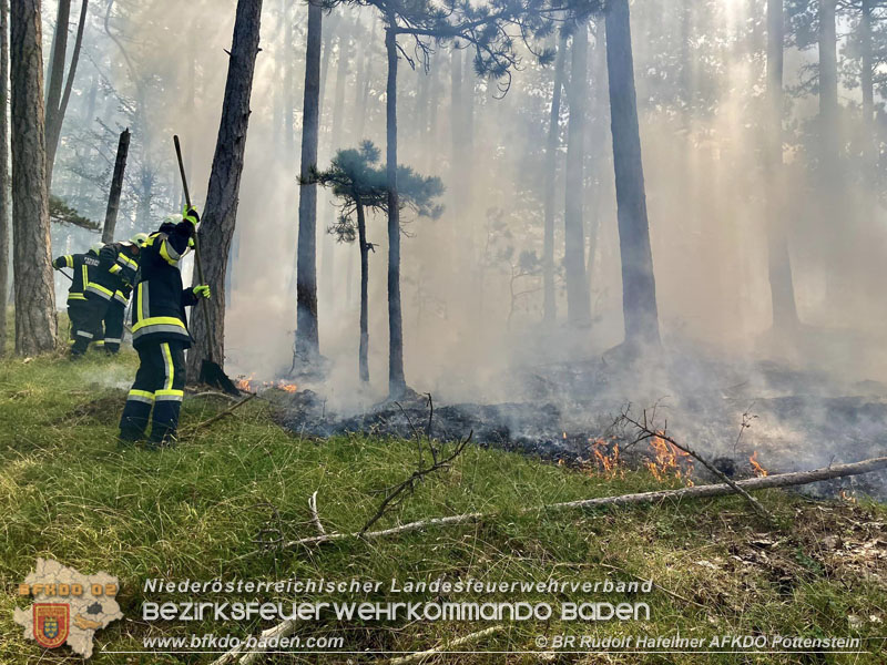 20240723_Waldbrand in Grillenberg noch rechtzeitig entdeckt Foto: FF Hernstein