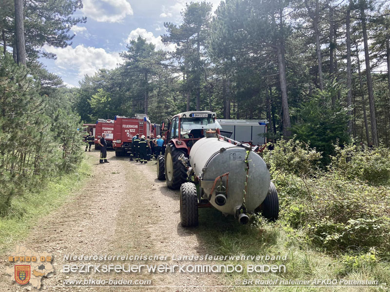 20240723_Waldbrand in Grillenberg noch rechtzeitig entdeckt Foto: FF Neusiedl