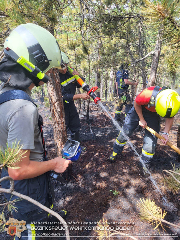 20240723_Waldbrand in Grillenberg noch rechtzeitig entdeckt Foto: FF Neusiedl