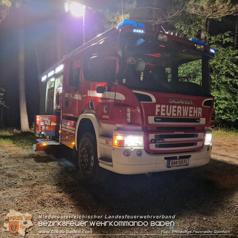 20240818_Waldbrand am Manhartsberg" in der Gemeinde Bad Vslau im Ortsteil Gainfarn Foto: FF Stadt Bad Vslau