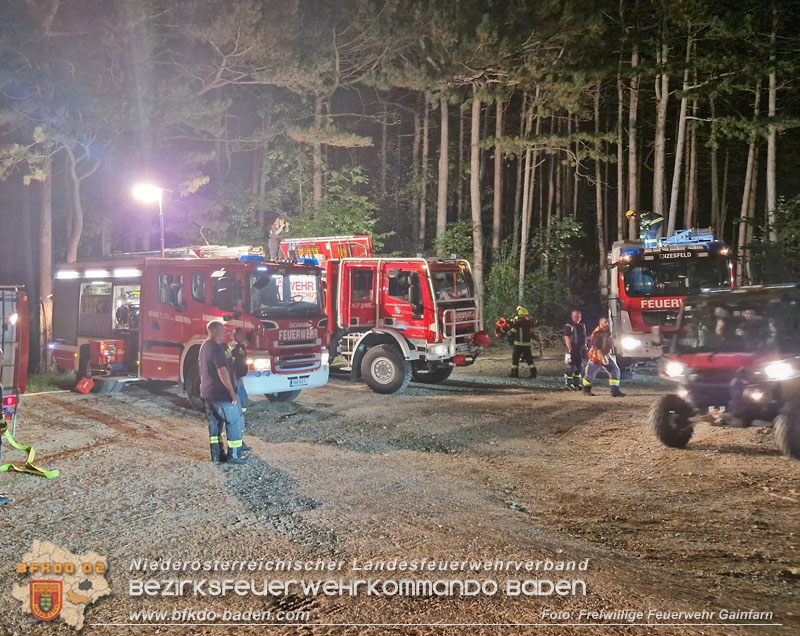 20240818_Waldbrand am Manhartsberg" in der Gemeinde Bad Vslau im Ortsteil Gainfarn Foto: FF Stadt Bad Vslau