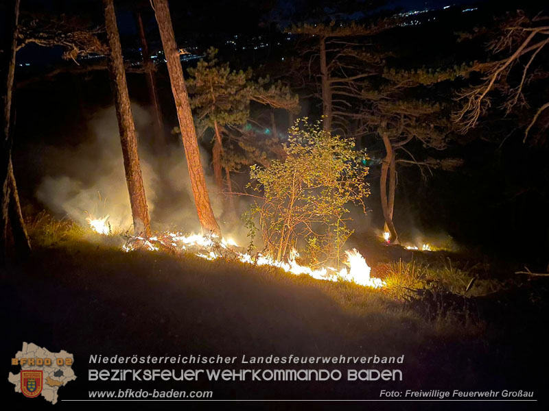 20240818_Waldbrand am Manhartsberg" in der Gemeinde Bad Vslau im Ortsteil Gainfarn   Foto: Johannes Rauscher FF Groau