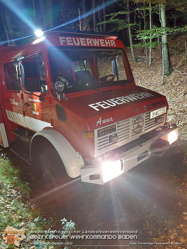 20240818_Waldbrand am Manhartsberg" in der Gemeinde Bad Vslau im Ortsteil Gainfarn   Foto: Johannes Rauscher FF Groau