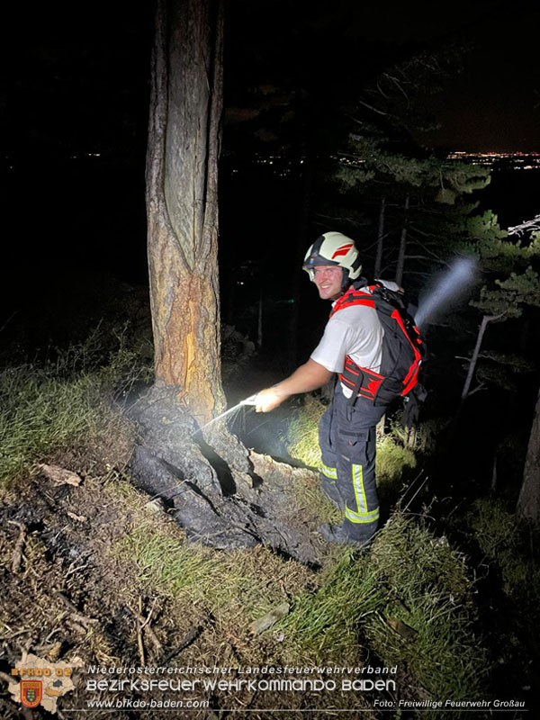 20240818_Waldbrand am Manhartsberg" in der Gemeinde Bad Vslau im Ortsteil Gainfarn   Foto: Johannes Rauscher FF Groau