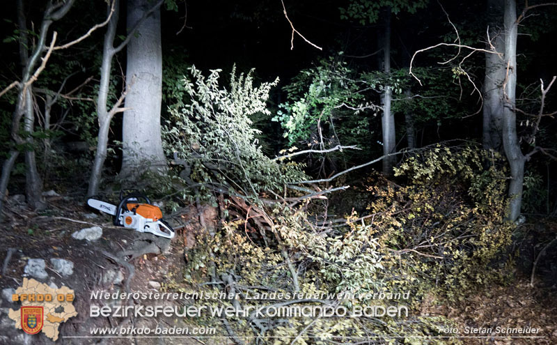 20240818_Waldbrand am Manhartsberg" in der Gemeinde Bad Vslau im Ortsteil Gainfarn   Foto: Stefan Schneider