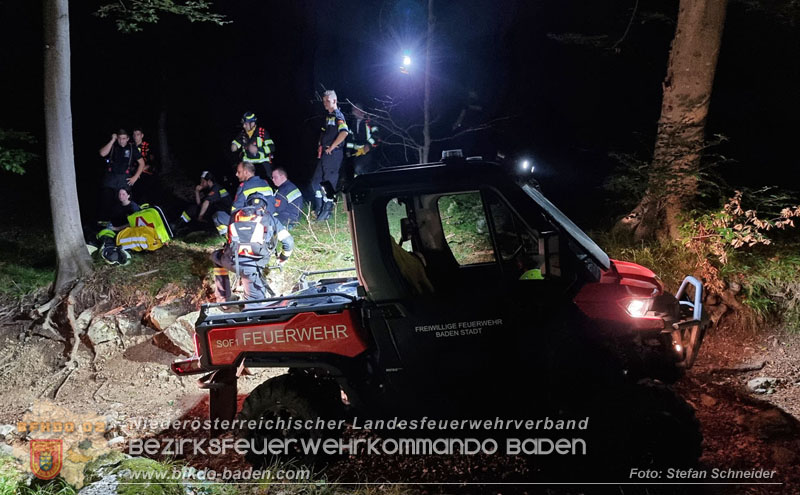 20240818_Waldbrand am Manhartsberg" in der Gemeinde Bad Vslau im Ortsteil Gainfarn   Foto: Stefan Schneider