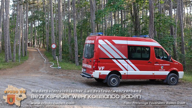 20240819_Waldbrand am Manhartsberg" in der Gemeinde Bad Vslau im Ortsteil Gainfarn   Foto: Stefan Schneider