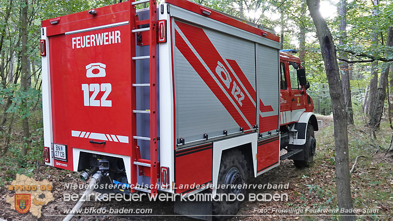 20240819_Waldbrand am Manhartsberg" in der Gemeinde Bad Vslau im Ortsteil Gainfarn   Foto: Stefan Schneider