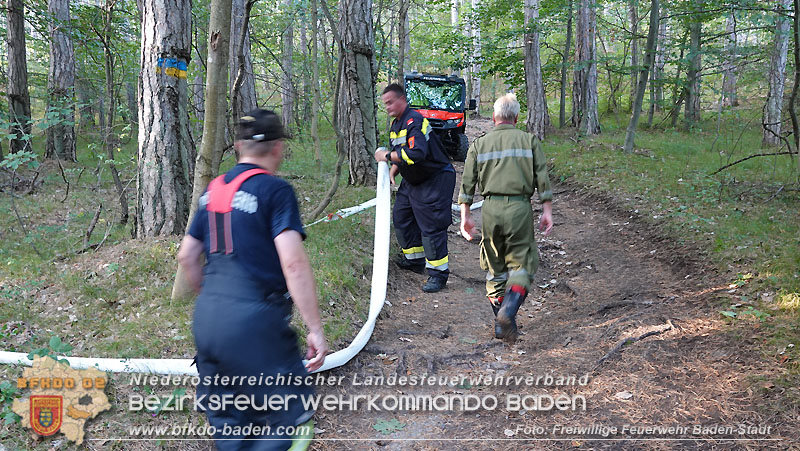 20240819_Waldbrand am Manhartsberg" in der Gemeinde Bad Vslau im Ortsteil Gainfarn   Foto: Stefan Schneider