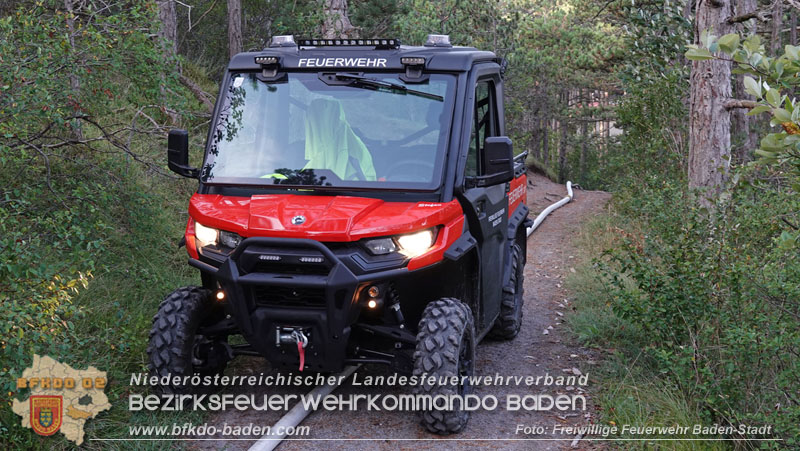 20240819_Waldbrand am Manhartsberg" in der Gemeinde Bad Vslau im Ortsteil Gainfarn   Foto: Stefan Schneider