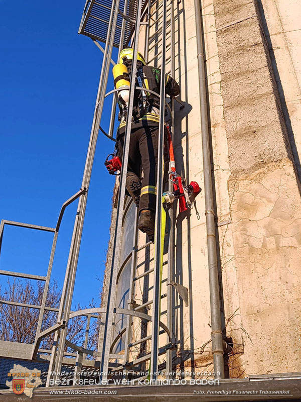 20241228_Stundenlanger Einsatz bei erneutem Silobrand im IZ Tribuswinkel   Foto: FF Tribuswinkel