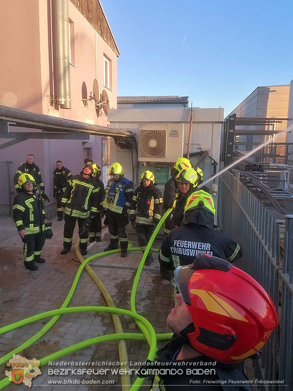 20241228_Stundenlanger Einsatz bei erneutem Silobrand im IZ Tribuswinkel   Foto: FF Tribuswinkel