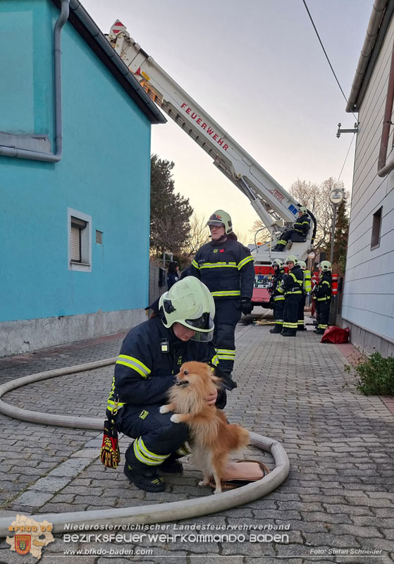 20241229_Morgendlicher Brand in Traiskirchen Foto: Stefan Schneider BFKDO BADEN