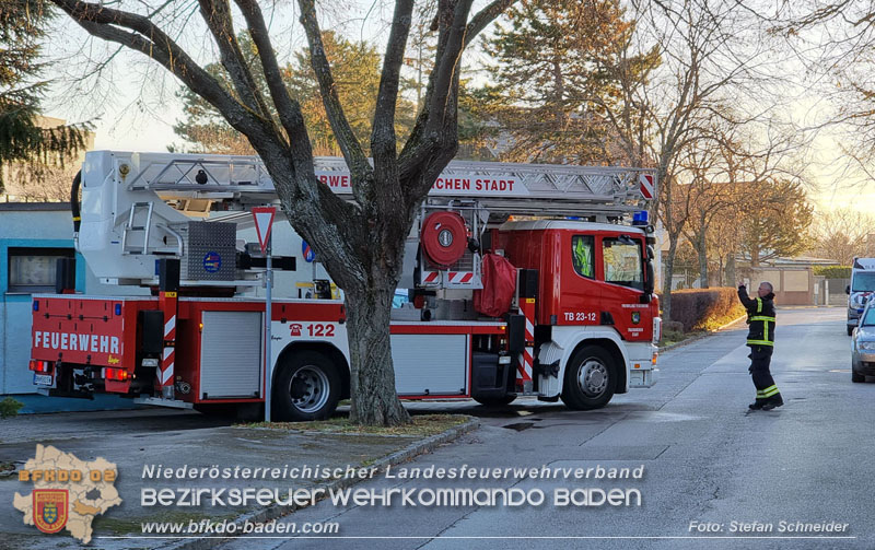 20241229_Morgendlicher Brand in Traiskirchen Foto: Stefan Schneider BFKDO BADEN