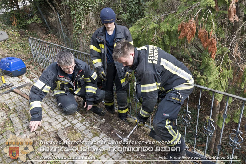 20250310_Feuerwehr befreit Stubentiger Odin" aus unterirdischem Hohlraum in Baden!   Foto: Stefan Schneider FF Baden-Stadt