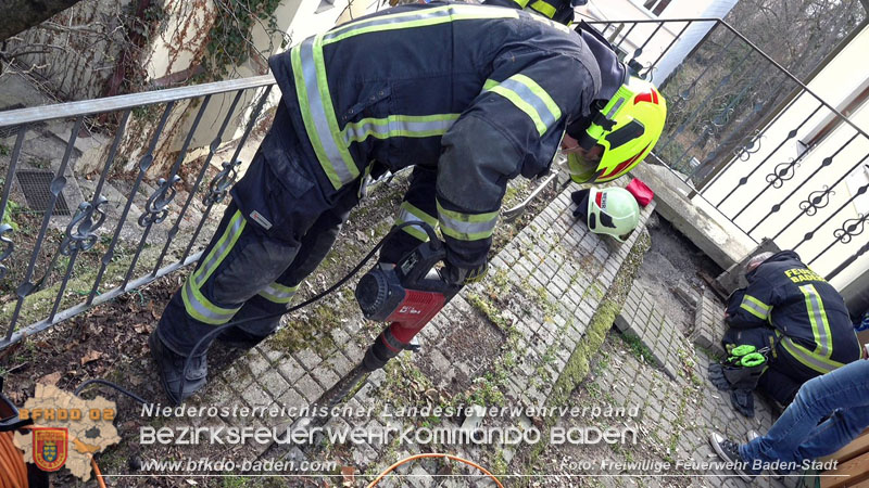 20250310_Feuerwehr befreit Stubentiger Odin" aus unterirdischem Hohlraum in Baden!   Foto: Stefan Schneider FF Baden-Stadt