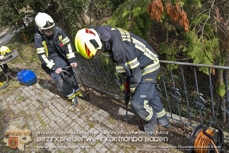 20250310_Feuerwehr befreit Stubentiger Odin" aus unterirdischem Hohlraum in Baden!   Foto: Stefan Schneider FF Baden-Stadt