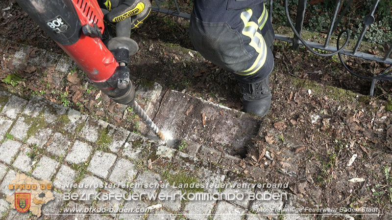 20250310_Feuerwehr befreit Stubentiger Odin" aus unterirdischem Hohlraum in Baden!   Foto: Stefan Schneider FF Baden-Stadt