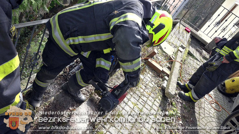 20250310_Feuerwehr befreit Stubentiger Odin" aus unterirdischem Hohlraum in Baden!   Foto: Stefan Schneider FF Baden-Stadt