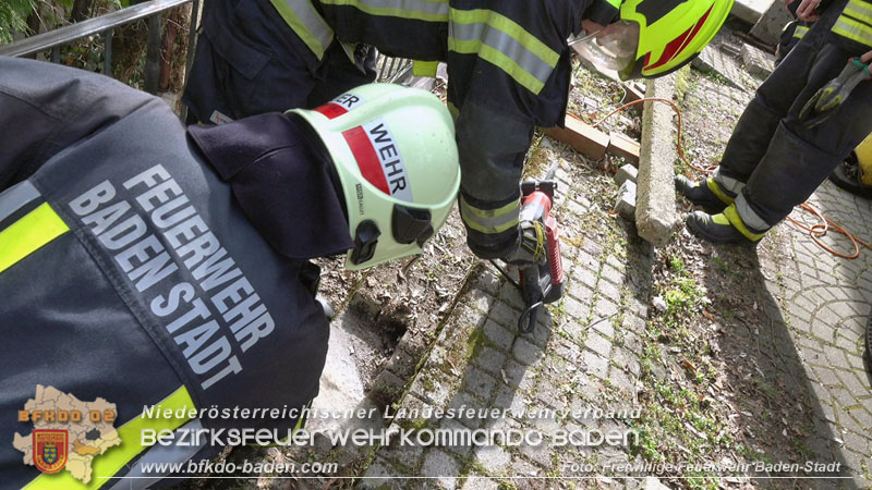 20250310_Feuerwehr befreit Stubentiger Odin" aus unterirdischem Hohlraum in Baden!   Foto: Stefan Schneider FF Baden-Stadt