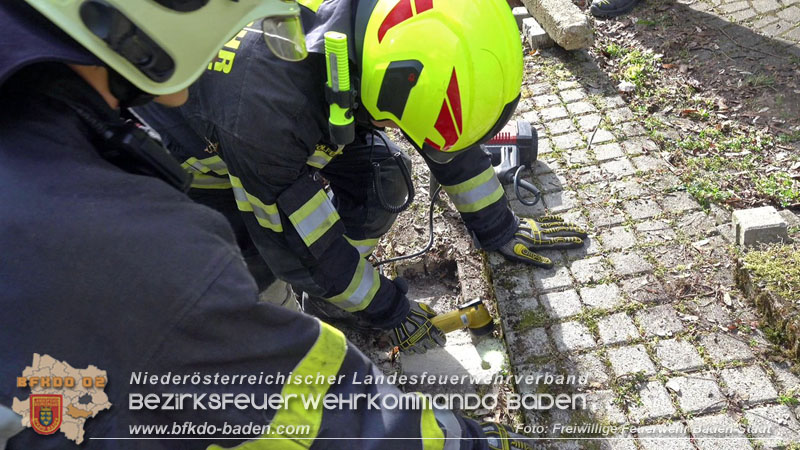 20250310_Feuerwehr befreit Stubentiger Odin" aus unterirdischem Hohlraum in Baden!   Foto: Stefan Schneider FF Baden-Stadt