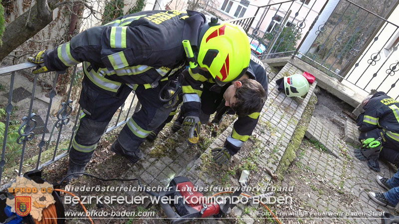 20250310_Feuerwehr befreit Stubentiger Odin" aus unterirdischem Hohlraum in Baden!   Foto: Stefan Schneider FF Baden-Stadt